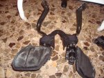 DSC06413.jpg