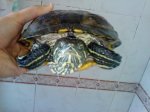 DSC00455u.JPG