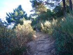 Foto38.JPG