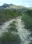 DSC00268.jpg
