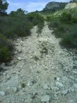 DSC00269.jpg