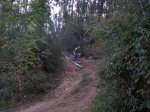 PA180470.jpg