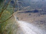 18102009_036.jpg