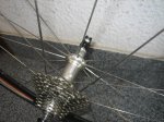 zipp 038.jpg