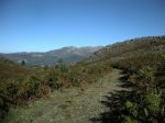 DSCN4941 (Large).JPG