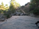 CALVET 18-10-2009 002.jpg