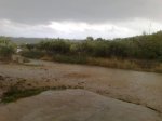 N95502.jpg