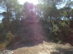 CALVET 18-10-2009 009.jpg