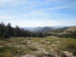 DSC00707.jpg
