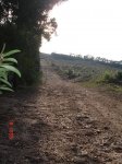 DSC02786.jpg
