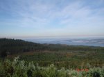 DSC02787.jpg