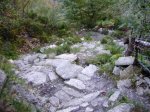 PA170863.jpg