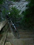 DSCN4317.jpg
