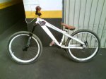 DSC00485.jpg