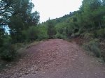 Camino de la subida de la Vilavella.jpg