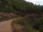 Camino del Puntal.jpg