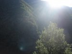IMG_4513.jpg