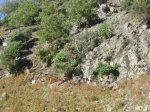 IMG_4514.jpg