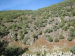 IMG_4517.jpg