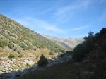 IMG_4518.jpg