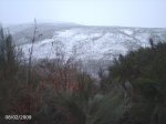 DSC00005.jpg