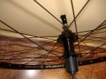 SPECIALIZED 034.jpg