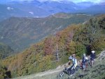 IMG_0639.jpg