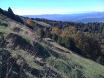 IMG_0640.jpg