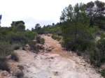 20102009145.jpg