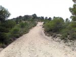20102009146.jpg