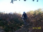 100_3384.jpg