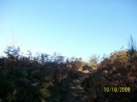 100_3389.jpg