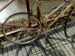 20102009352.jpg
