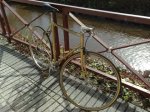 20102009353.jpg