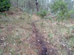 20102009099.jpg
