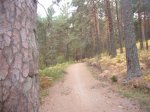Foto4.JPG