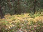 Foto6.JPG