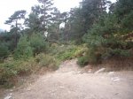 Foto7.JPG