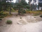 Foto9.JPG