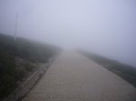 Foto19.JPG