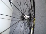 DSC01133_redimensionar.JPG