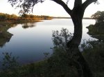 100_9540.jpg