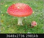 869V0.jpg