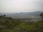 PICT0006.jpg