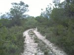 PICT0007.jpg