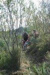 IMG_1490.jpg