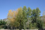 IMG_4186red.JPG
