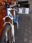 DSC00952.jpg