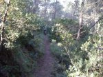Image00033.jpg