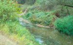 DSCN0405.JPG